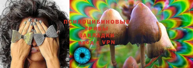 Псилоцибиновые грибы MAGIC MUSHROOMS  дарнет шоп  Саров 